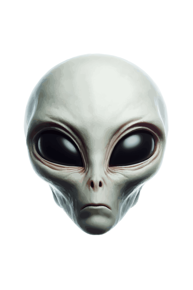 Alien Face Unisex Oversized Hoodie