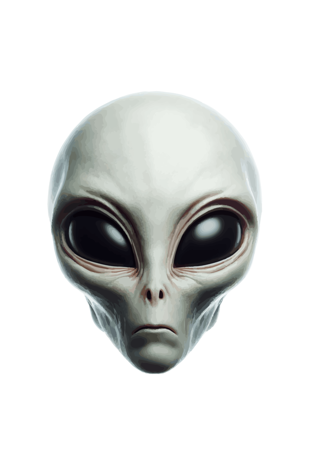 Alien face Unisex Oversized Tshirt